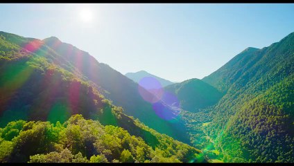 Y'a pas de réseau (2025) - Bande annonce