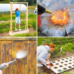 Easy hacks for growing plants and backyard decoration