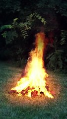 我的吸血鬼男友_Mr Vampire Boyfriend