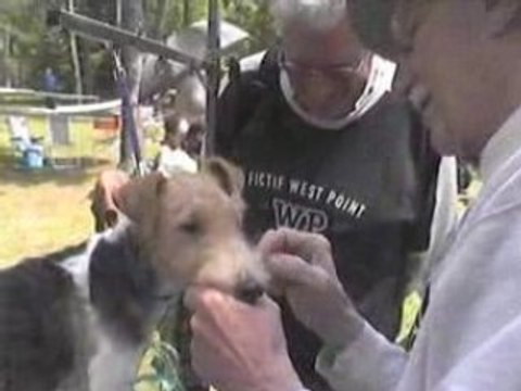 Portes ouvertes Boutigny sur Essonnes 18 mai 2008