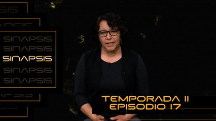 T11 Ep. 17 Sinapsis | Desafíos de la reintegración de migrantes retornados