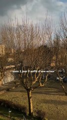 L'humain ne retient que le mauvais #BR3 #motivation #success #conseil #leçon