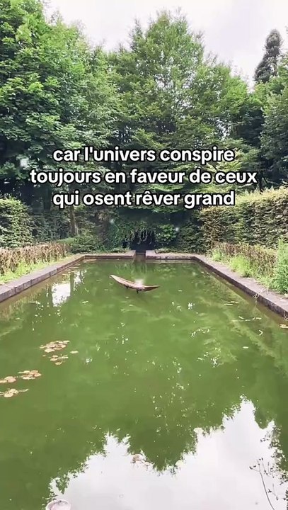 Ignorer les regrets et continuer à avancer #motivation #sagesse #motivationalvideo #conseils
