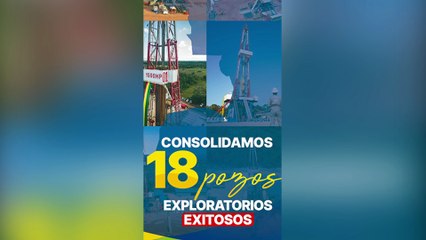 ATBEXPLICA - La rata en el avión un hallazgo científico sorprendente