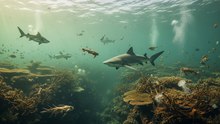 The Hidden Truth of the Bull Shark: Are They Really Aggressive?