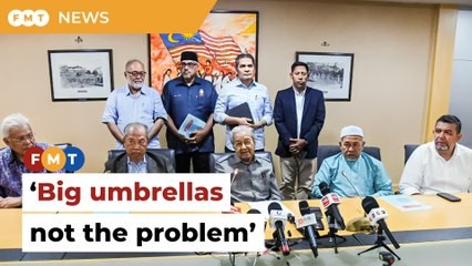 ‘Big umbrellas’ not the problem, analyst says on divisions among Malays