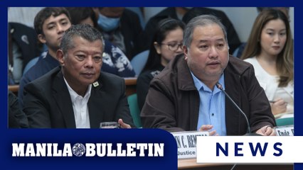 NBI recommends filing of charges vs Estrada, Villanueva, Co, others