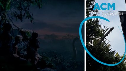 Brisbane woman films ‘dinosaur-like' snake in backyard