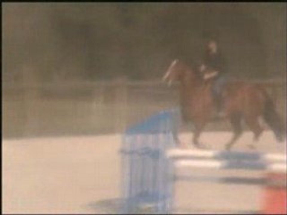 Cheval à vendre - SF 6a par Idem de B'neville