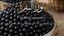 AlQuran