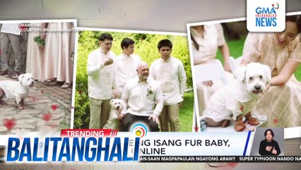 Formal attire ng isang fur baby, kinaaaliwan online | Balitanghali