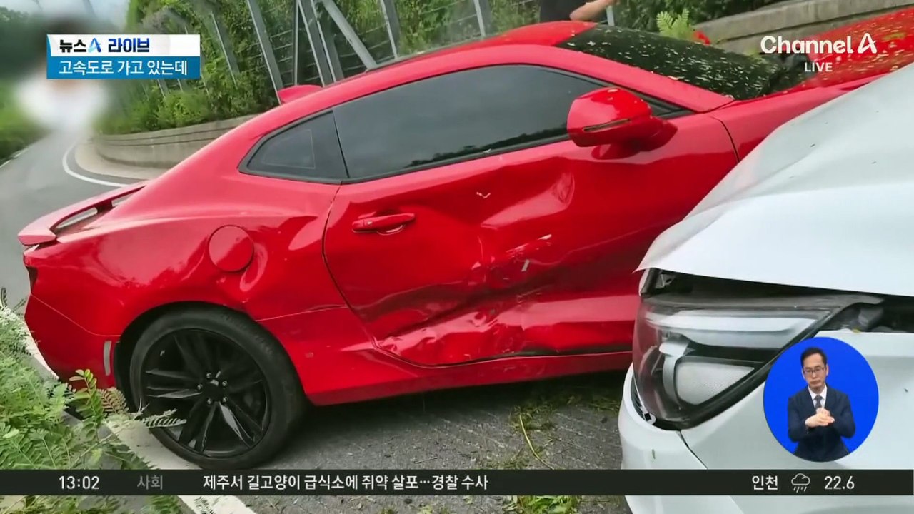 램프 구간 주행 중…풀숲에서 날아든 스포츠카