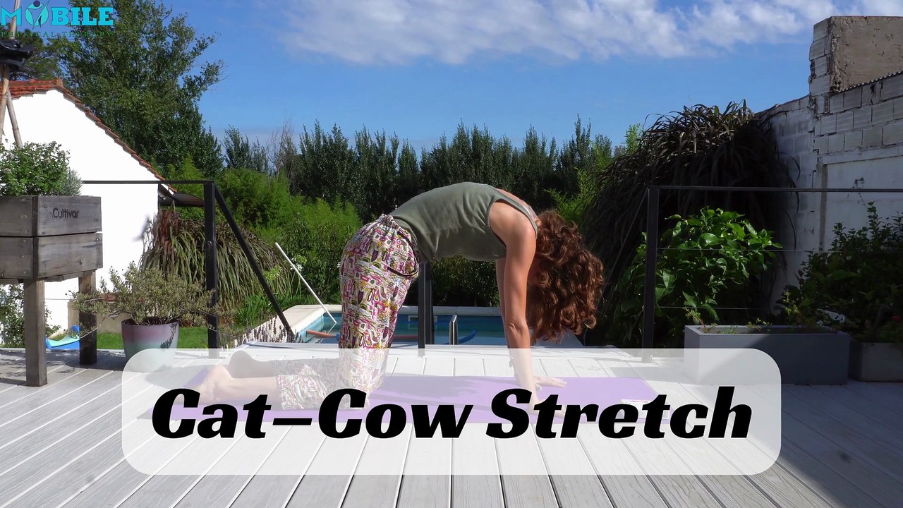 Fix Rounded Shoulders & Forward Head FAST | 5-Min Daily Routine