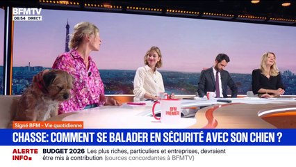 SIGNÉ BFM - Comment se balader en sécurité avec son chien en forêt alors que la saison de la chasse est ouverte?