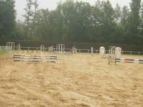 Concours du 18 mai 2008 fauvettes laulau et cannelle