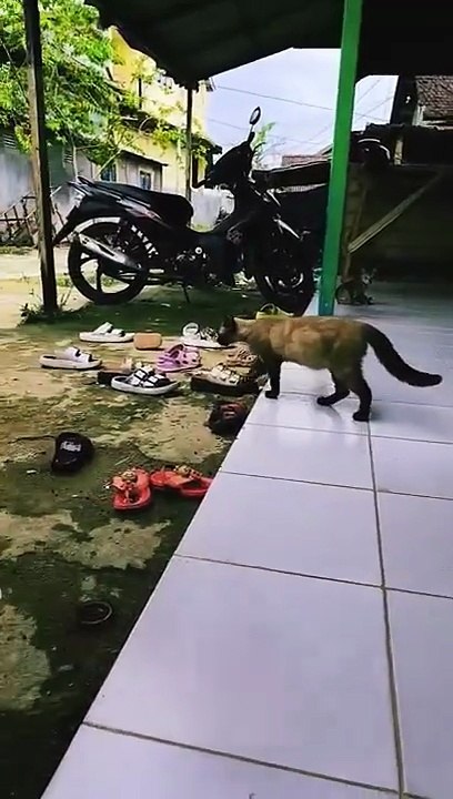 gue mau jalan dan mandi