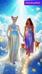 Lady helping the pregnant cat in the heaven with her kitten 🐈