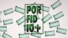 Porfidio Shot Glasses