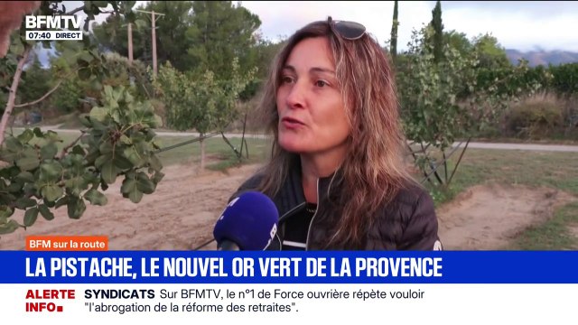 Ça demande peu d'eau et peu d'entretien : avec le réchauffement climatique, des agriculteurs se tournent vers la pistache, une espèce plus résistante à la sécheresse