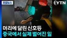 머리에 달린 신호등? [앵커리포트] / YTN