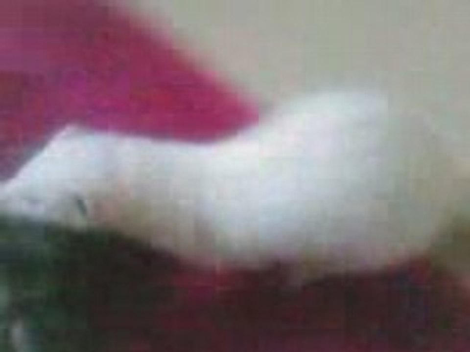 Mon Fufu Voleur? NOOON!!! Mdr