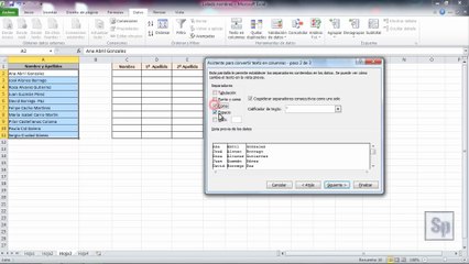 Excel - Separar texto en columnas. Separar palabras en Excel. Tutorial en español HD