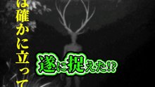 遂に捉えた!?あれは確かに立っていた