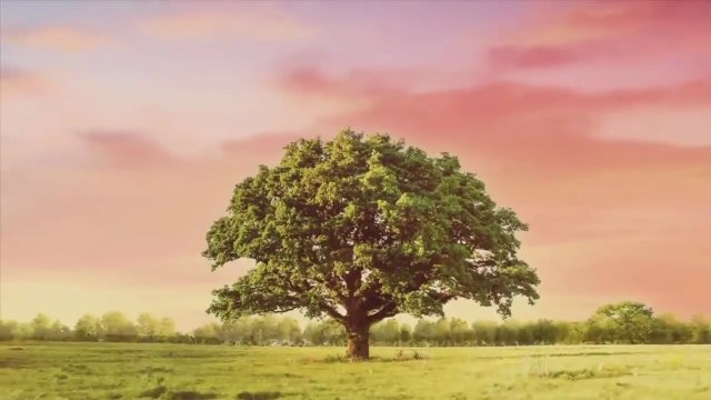 Na miłość nie ma recepty - 45