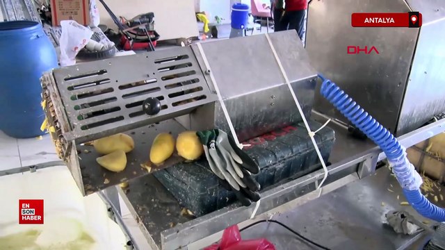 Antalya'da hijyen kurallarına uymayan tesisde 1.5 ton patates imha edildi