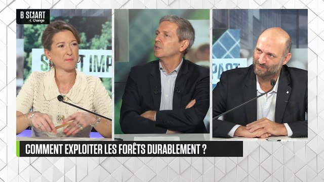 SMART IMPACT - Exploitation des forêts : comment solidifier la responsabilité ?