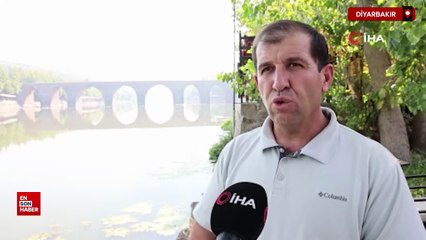 Diyarbakır Dicle Nehri'nde balık ölümleri görüldü