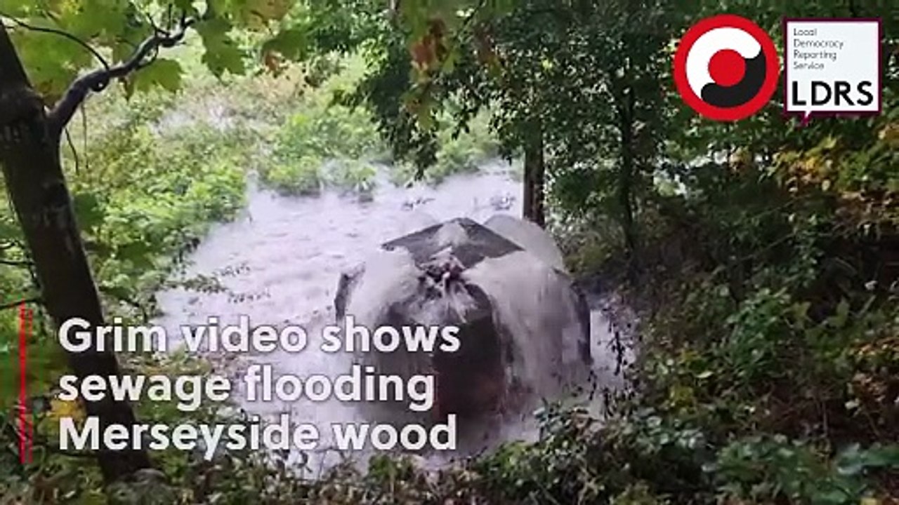Grim video shows sewage spill in Merseyside woodland