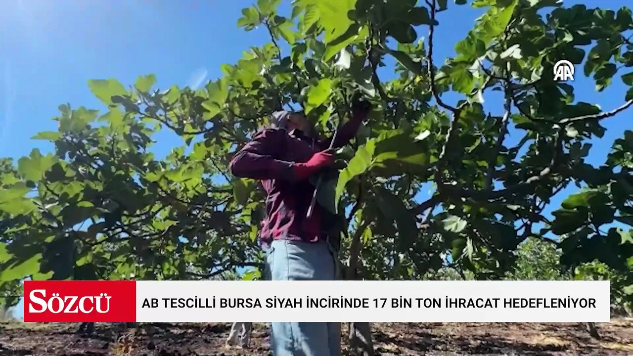 Araplar, Fransızlar, Ruslar sıraya girdi: Türkiye’den ABD hariç her yere gidiyor