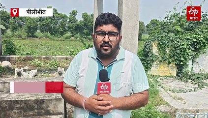 पीलीभीत का ऐसा मंदिर, जहां संत के साथ दो कुत्तों की है समाधि, शनिवार को होती है विशेष पूजा