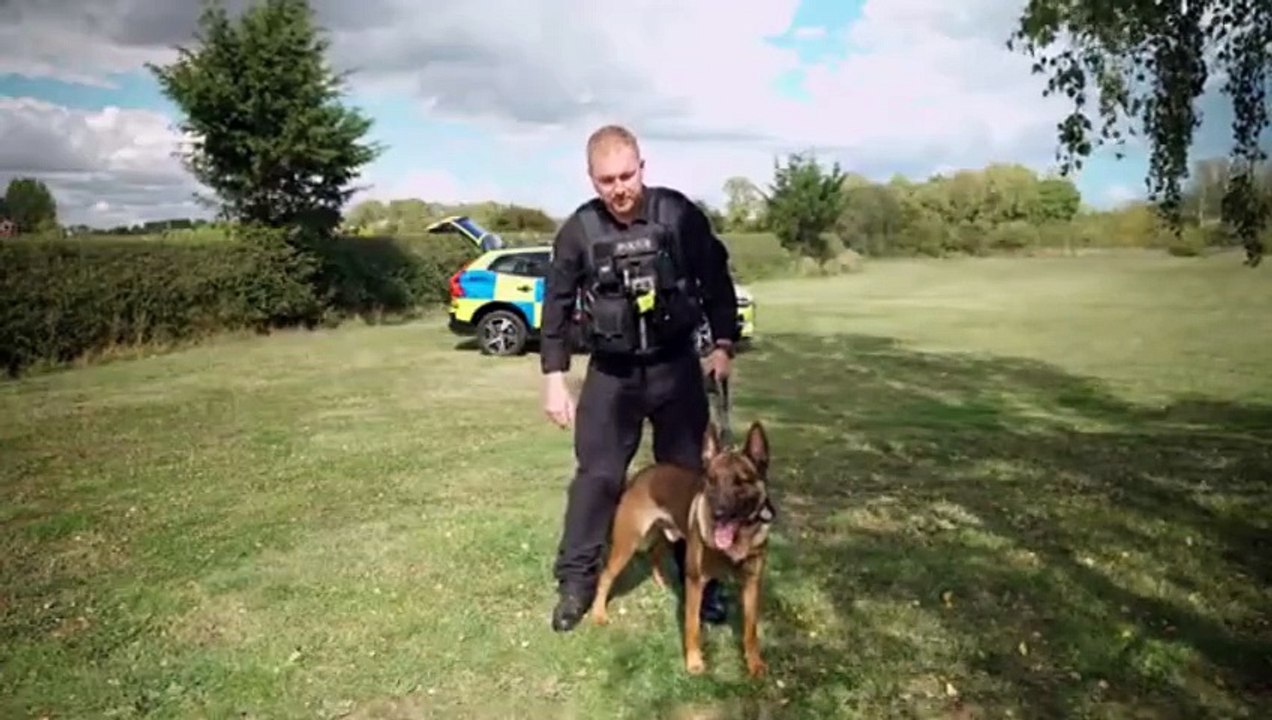 Hear how this police dog and his handler saved a man's life in Hartlepool
