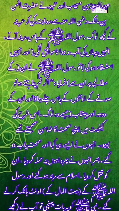 قتل اور لوٹ مار کرنے والوں کی سزا صحیح مسلم حدیث نمبر 4353 #بیانات #قران #اسلام # حدیث نبوی
