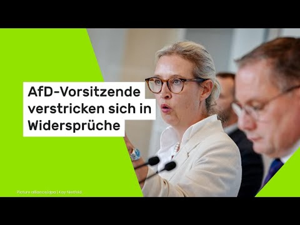 AfD-Vorsitzende verstricken sich in Widersprüche