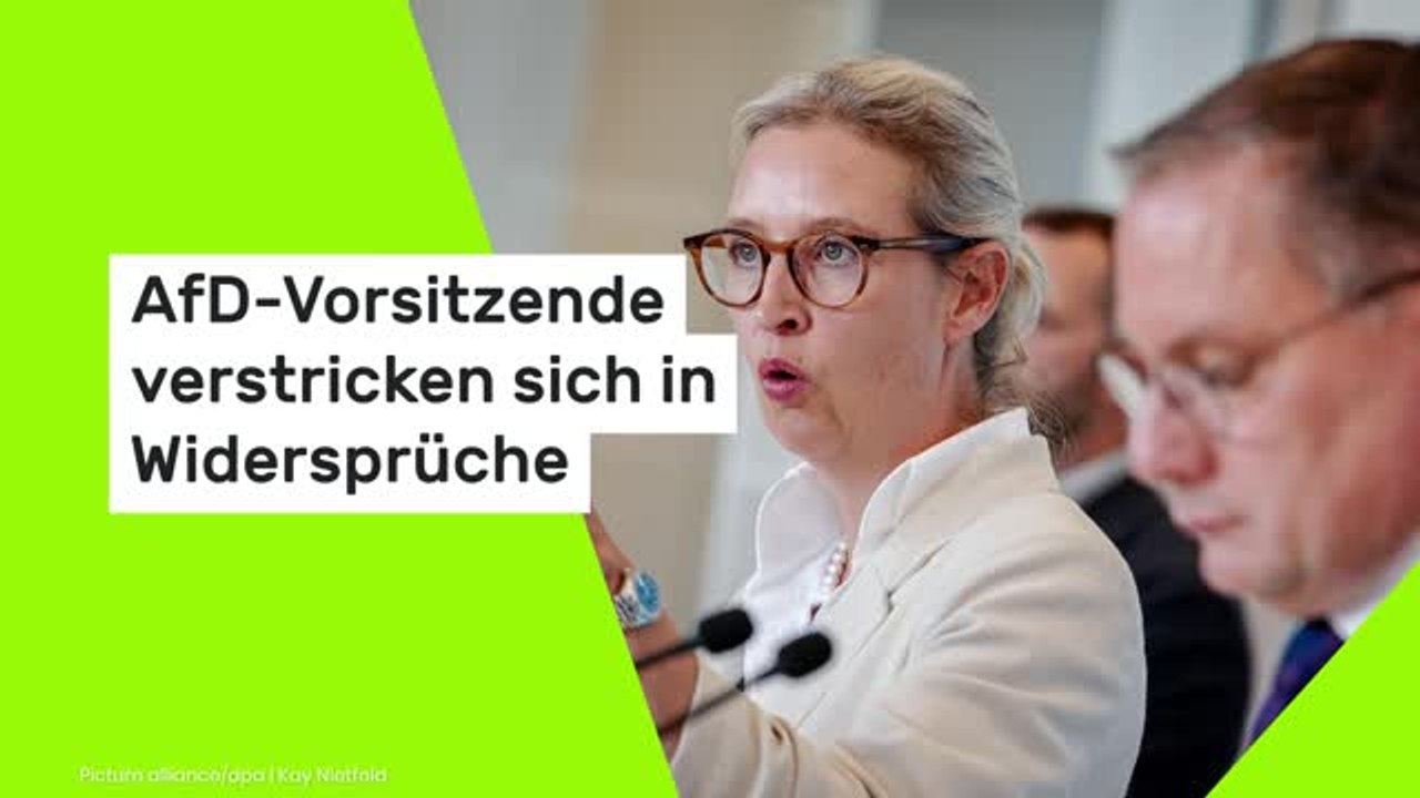 AfD-Vorsitzende verstricken sich in Widersprüche