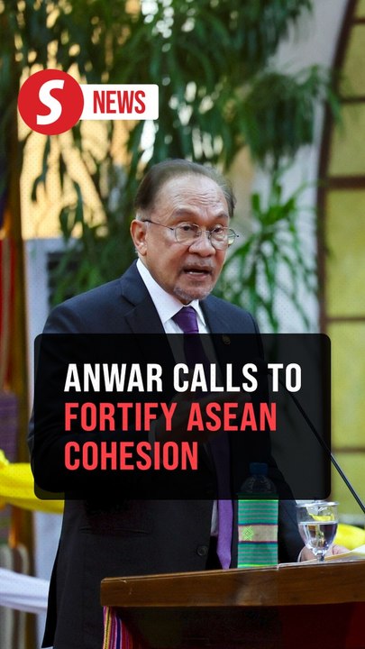 Asean cohesion must be constantly earned and strengthened, says Anwar