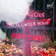 Spooktacular DIY Halloween creations 👻🎃