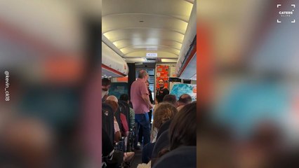 Flight Delayed Due to Wasps Invading Airplane