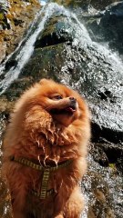 131824-751934493_small