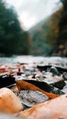 125314-733046618_medium