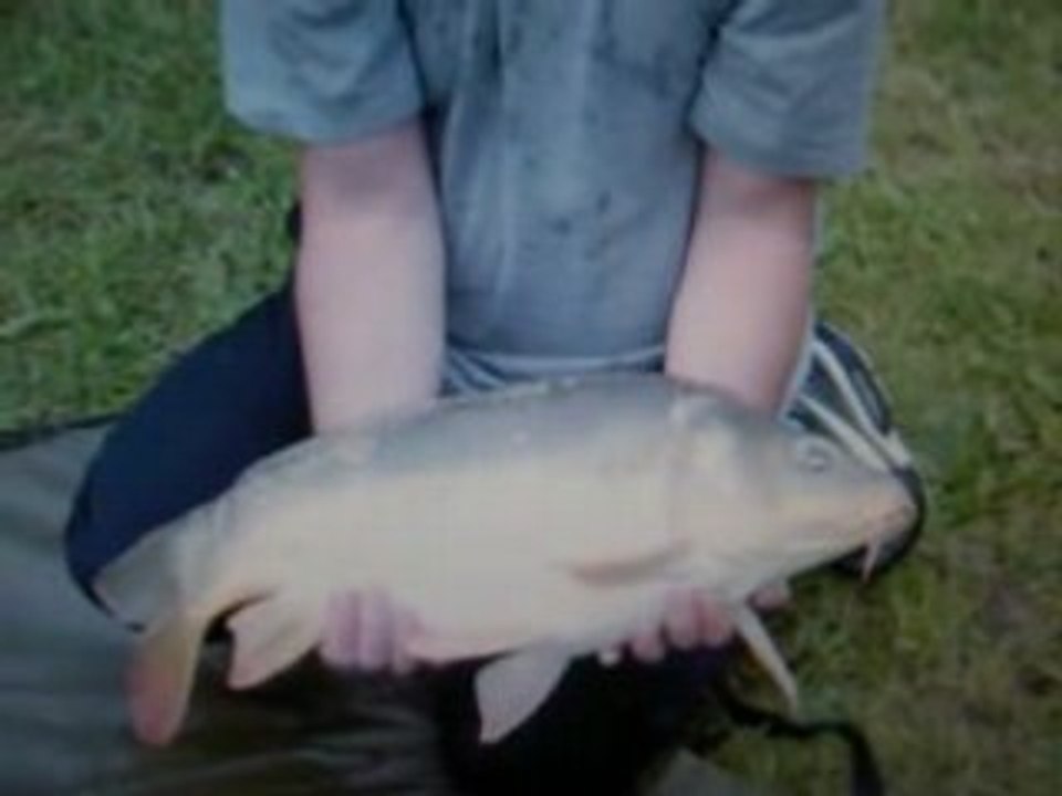 carpe 7kg