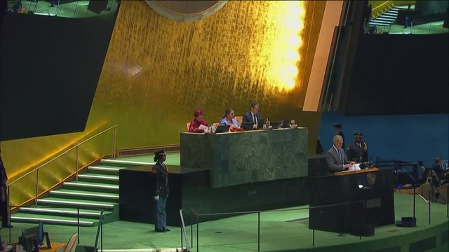 El Rey Felipe VI alto y claro ante la ONU: ¡Detengamos ya esta masacre en Gaza!
