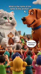 Monkey & giraffe guessing, cat & dog