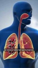 Comment tromper un éthylomètre ?