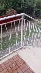 Maltempo, grandine a Bondeno