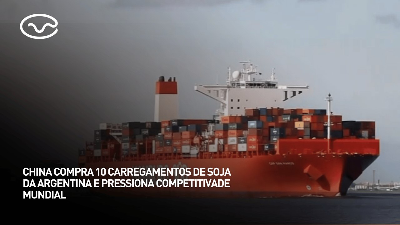 China compra 10 carregamentos de soja da Argentina e pressiona competitividade mundial