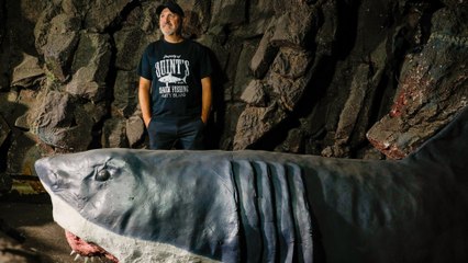 La película de tiburones que engañó al mundo